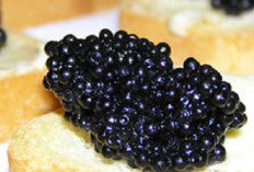 Telur Caviar, Makanan yang Mahal tapi Berkualitas Tinggi, Cek Disini Manfaatnya