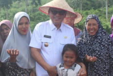 Anggaran Mobil Dinas Dialihkan untuk Beli Mobil Dinas Baru Bupati? Ini Kata bupati Empat Lawang