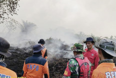 Gawat, Sehari 41 Hotspot di Muba, Polisi Buru Pelaku Pembakar Lahan