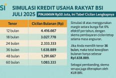 Simulasi Kredit Usaha Rakyat BSI Juli 2025: Pinjaman Rp50 Juta, Ini Tabel Cicilan Lengkapnya