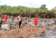 Pendinginan lahan Pascakebakaran 