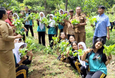Siswa SMPN 2 Semendawai Timur Panen Raya