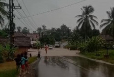 Sungai Musi Meluap, Rumah dan Jalinteng Terendam Banjir di Musi Banyuasin