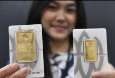 Daftar Harga Emas Antam dan UBS Hari Ini, 15 Juni 2026