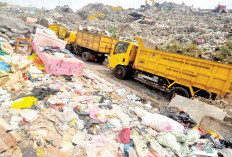 Idealnya Butuh 245 Unit Mobil Sampah, Untuk Tangani 1.200 Ton Sampah per Hari