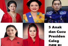 Keluarga Anak dan Mantan Presiden Raup Banyak Suara, Berpotensi Melenggang ke Senayan. Siapa Saja Mereka?