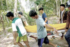 Petani Karet di Muba Akhiri Hidup dengan Cara Tragis Gantung Diri di Pohon Karet, Diduga Ini Penyebabnya