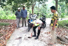 Polres Ogan Ilir Kerahkan Tim Gabungan, Buru 3 Perampok Tembak Sopir Mobil GranMax Pick up