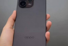 Oppo Reno 15 Series, Sang Maestro Potret dengan Layar AMOLED Sinematik