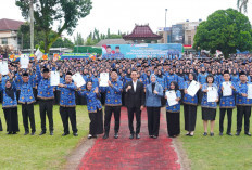 PPPK Banyuasin Tak Dapat TPP, PPPK Paruh Waktu OKI Tak Terima THR