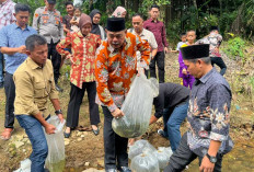 Perkuat Swasembada Pangan, Dorong Ekonomi Desa