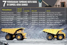 Abaikan Reklamasi, Kementerian ESDM Hentikan Sementara Aktivitas 190 Perusahaan Batu Bara, 7 dari Sumsel    7 