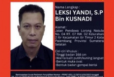 Leksi Yandi, Mantan Tenaga Ahli Kabupaten OKU Selatan, Divonis 8 Tahun Penjara