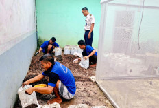 Ajak Warga Binaan Budidaya Melon Inthanon