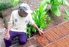 Terlilit Masalah Modal, Harapkan Perhatian Pemerintah