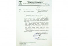 Surat Toleransi Angkutan Batu Bara Dikeluarkan Dishub Sumsel, Dinilai Bertentangan Pergub Sumsel No 74/2018  