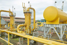 PGN Garap Gas Sengeti