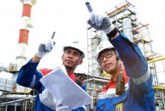 Lulusan Kampus Swasta juga Punya Peluang Kerja di PT Pertamina, Ini Daftar Jurusan Paling Dicari