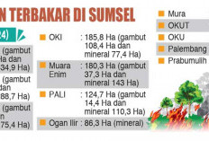 Karhutla 12 Daerah, 2.948 Ha Lahan Hangus, Sumsel Sudah Lewati Puncak Musim Kemarau