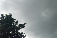 Akhir September, Sumsel Masuk Musim Hujan, Status Siaga Karhutla Sementara Harus Dipertahankan