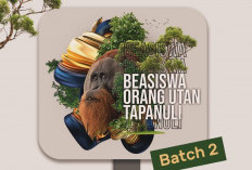 Beasiswa Orangutan Tapanuli Batch 2 Dibuka, Mahasiswa Semua Jurusan Bisa Daftar, Cek Syarat dan Benefitnya!