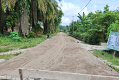 Gencar Berinovasi Demi Kemakmuran Warga Desanya, Desa Tegal Mulyo