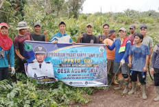  Berikan Pelayanan dan Fasilitas Publik Terbaik