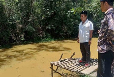 Kejadian Nahas! Bocah 9 TahunTenggelam di Sungai Banyuasin Usai Mandi Bersama Teman, Ini Kronogisnya!