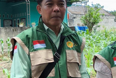 Dari Pekarangan ke Ketahanan Pangan, KWT Jadi Motor Kebangkitan Pertanian Kota Nanas