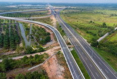 Tol Betung-Jambi: Solusi Memangkas Separuh Waktu Perjalanan di Jalur Lintas Timur