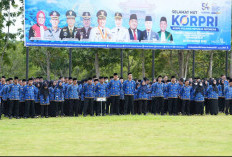 PPPK di Banyuasin Tidak Dapat TPP