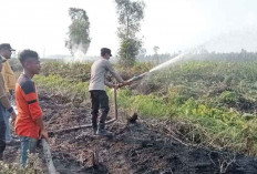 Dua Helikopter Lakukan 30 Kali Waterbombing, Karhutla di Pedamaran Timur 