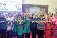 Pemprov Sumsel Dukung Penuh Pengajuan Ratu Sinuhun Menjadi Pahlawan Nasional 