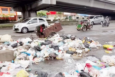 Lihat Sampah Berserakan di Bawah FO Jakabaring, Ratu Dewa Minta Instansi Terkait Lakukan Pengawasan