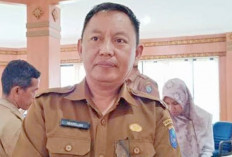 Geger Penampakan Buaya, Dinas Perikanan OKI Lakukan Hal Ini