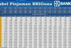 Panduan Lengkap Pengajuan Kredit Bank BRI untuk Guru Sertifikasi