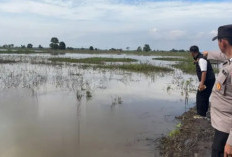 Pergi Memancing, Warga Desa Penyandingan Ditemukan Meninggal di Sawah