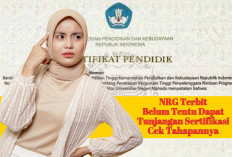 NRG Sudah Terbit, Belum Tentu Dapat Tunjangan Sertifikasi, Ini Penyebabnya