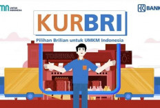 KUR BRI 2024: Solusi Optimal untuk Pembiayaan UMKM dengan Beragam Keunggulan