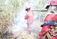 Hari Keempat Masih Lakukan Pemadaman, Kanal Mulai Kering