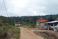 Miris, 50 KK Dusun IV Selpah, Desa Tunggul Bute Diduga Tertipu Janji Manis Pemasangan Listrik