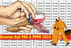 Inilah Besaran Gaji dan Tunjangan PNS PPPK 2025