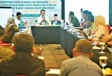 Lindungi Populasi Gajah Sumatera, Dishut Sumsel Gagas Pembentukan Forum Kolaborasi, Ini Tugasnya