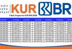 Syarat Lengkap Ajukan KUR BRI Juli 2025: Simak Dokumen dan Proses Terbarunya!