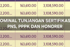 Tabel Tunjangan Sertifikasi PNS, P3K, dan Non-ASN Pada 2025