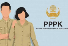 PPPK Dapat THR dan Gaji 13 Pada 2025, Cek Nominalnya