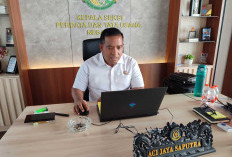 Geber Program Bantu Masyarakat Mulai Dari Jagara Pusak Hingga Anak Umang, Ini Tujuan Datun Kejari Palembang