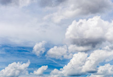 BMKG Prediksi Hujan Ringan hingga Sedang di Palembang, Waspada Petir Tak Merata dan Suhu Udara Tinggi