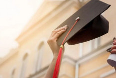 10 Jurusan Kuliah Alumninya Banyak Bekerja di BUMN Bank BTN 