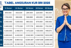 Pinjaman 10 Juta Cicilan Berapa?  Cek Simulasi, Syarat Beserta Proses Pinjaman  Plafon Rp 10 Juta pada KUR BRI